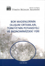 Bor Madenlerinin Oluşum Ortamları, Türkiye'nin Potansiyeli ve Ekonomideki Yeri